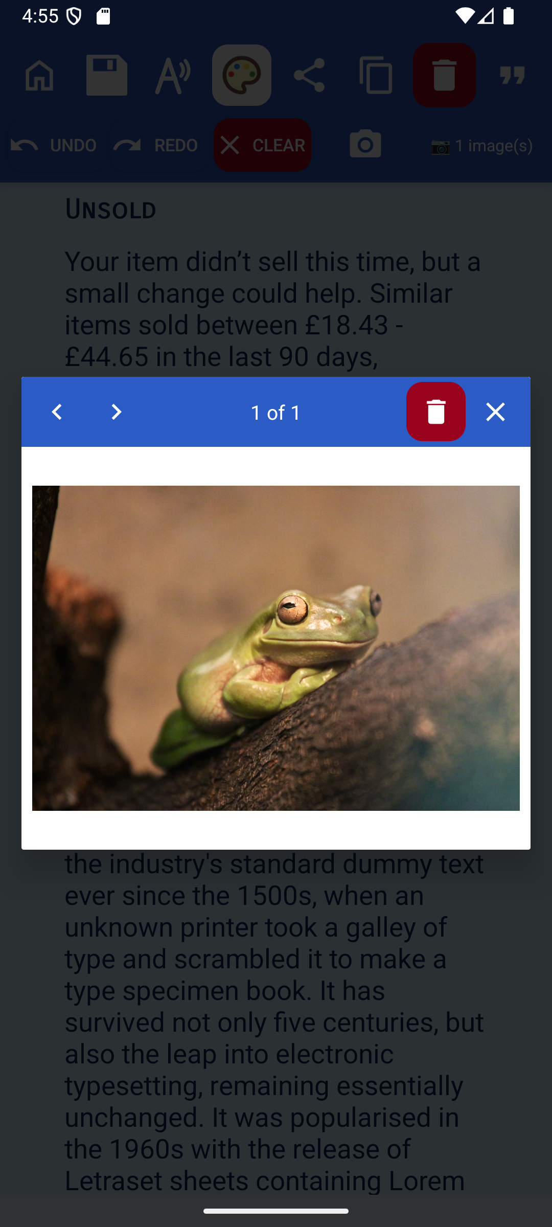 Full-screen image carousel viewer